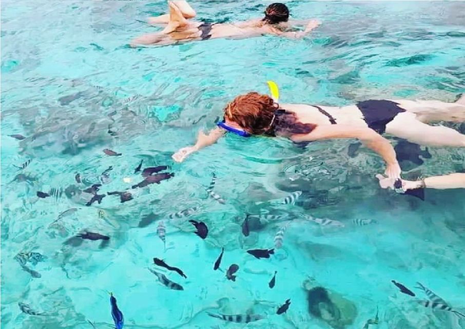Mnemba Island Private Snorkeling Tour with Pickup