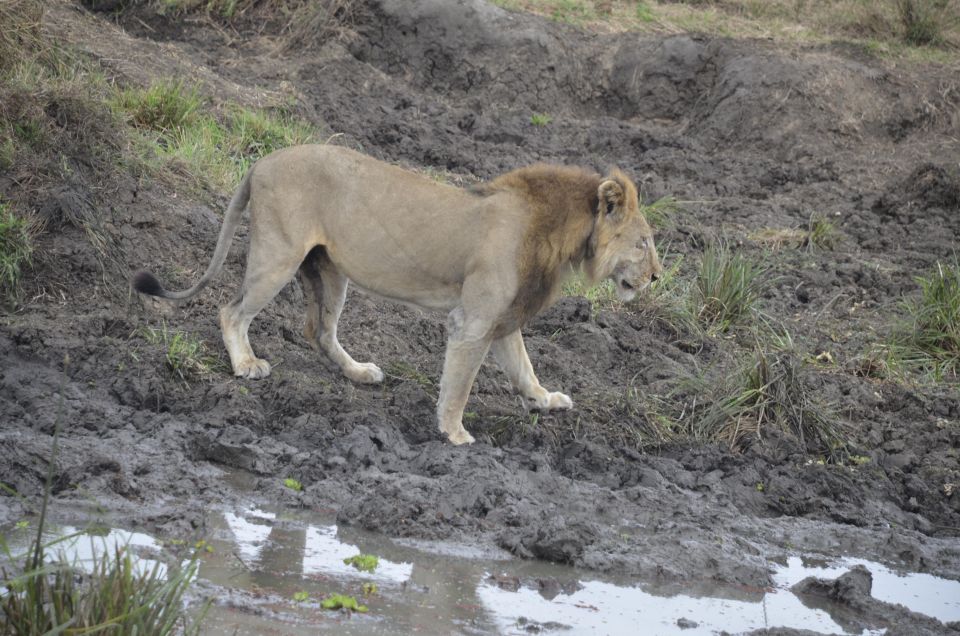 Tanzania